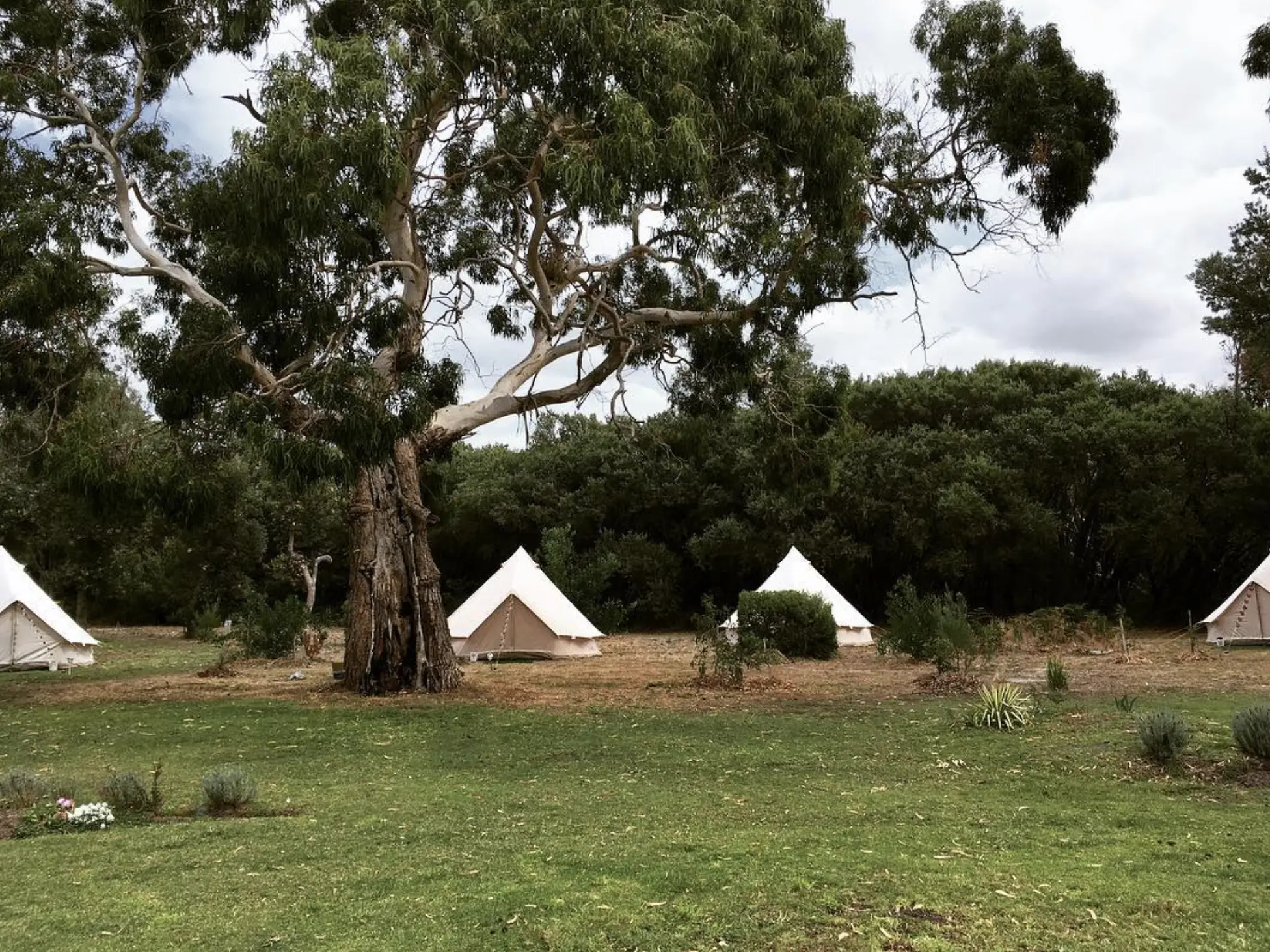 Phillip Island Glamping