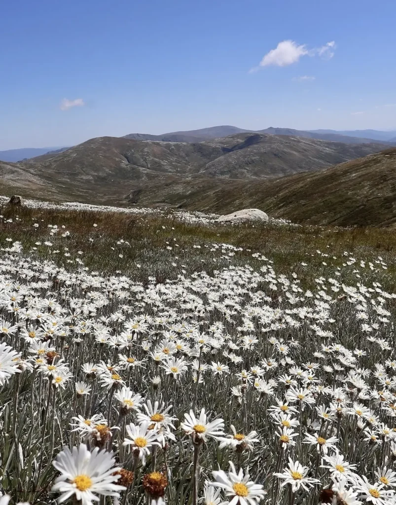 Oxley Wild Rivers National Park